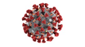 coronavirus-cdc-1585869759